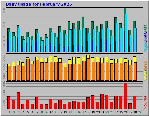 Daily usage for February 2025